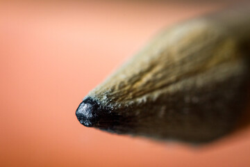 Punta de Lápiz Viejo