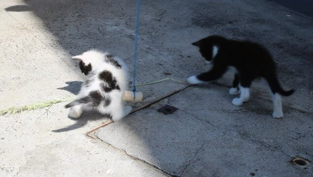 Dos hermanitos jugando 