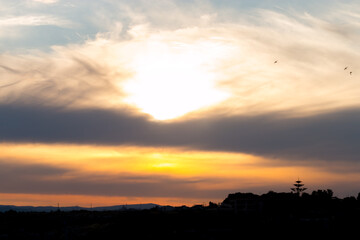 sunset in the city