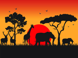 Nature Forest Sunset Night Aminals