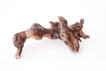 Snag, tree root on an isolated white background.