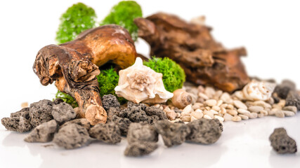 Sea pebbles, shells, stabilized moss and wooden driftwood on a white isolated background. Volcanic stones.