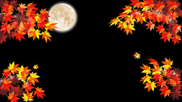 紅葉の間から垣間見える月夜