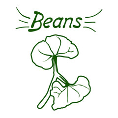 Vector outline drawing of a handmade bean bush on a white isolated background. Bean leaves line, sketch. Registration of cards, menus, banners, printing on fabric, covers