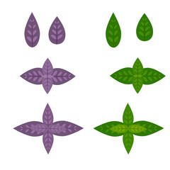 Purple and green basil leaves. Spice isolated on a white background. Stock vector illustration.