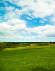 Landscape of beautiful, kashubian meadow, nature of northern Poland.