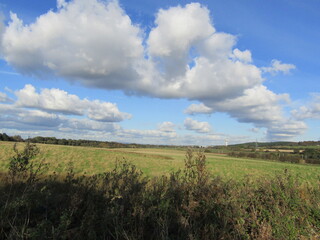 Obraz premium field and sky