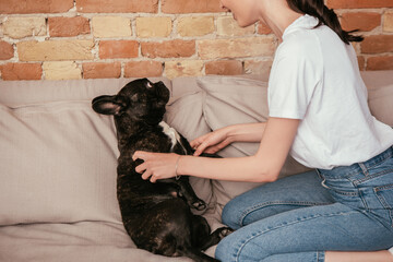 cropped view of happy woman playing with cute french bulldog in living room