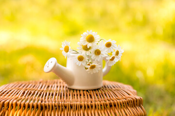 camomile in small white ceramic kettle on the wooden basket