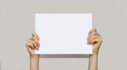 White female hands hold a blank sheet of white paper held up against an isolated gray background....