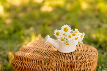 camomile in small white ceramic kettle on the wooden basket