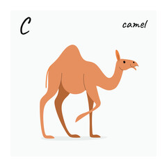 Cartoon camel - cute character for children. Vector illustration in cartoon style.