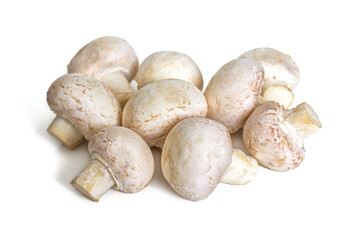 Bunch of white mushrooms isolated on a white background