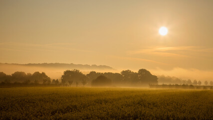 Fototapeta na wymiar Foggy and colorful landscape with sunrise