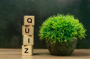 QUIZ word on wood cube block with green grass
