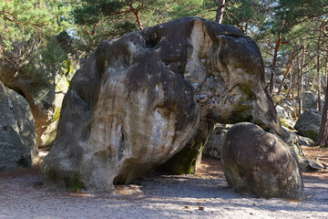 Elephant boulder in gulf of Larchant. Fontainebleau forest © hassan bensliman