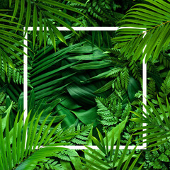 tropical green leaves and palms with white note frame, nature flat lay concept