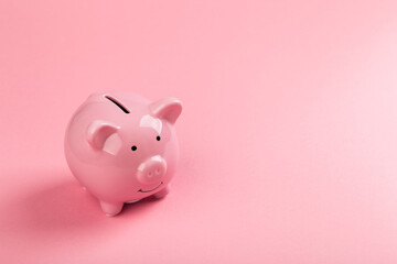 beautiful pink piggy bank on rose background.