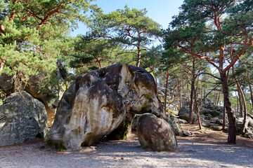 Elephant boulder in gulf of Larchant. Fontainebleau forest © hassan bensliman