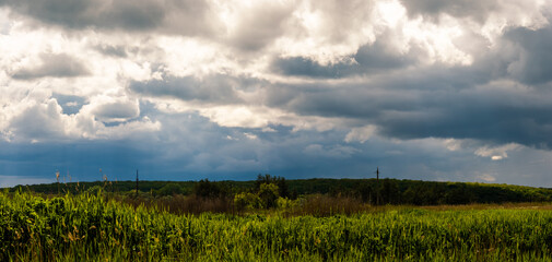 Fototapeta premium Beautiful and majestic sky above the horizon with a field, panorama
