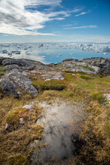 Naklejka na ściany i meble Illulisat Icefjord in Greenland Landscape 