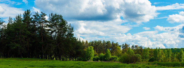 Obraz na płótnie Canvas Panorama with a landscape of forest belts nature and beautiful views