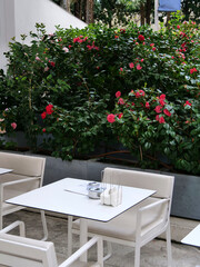 Terrace with white furniture and flowers.