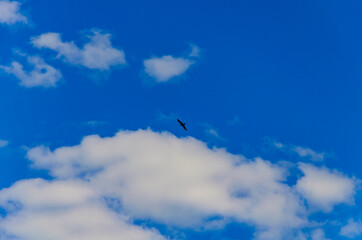 White clouds against a blue sky.