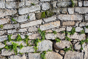 Vintage crooked wall made of irregularly laid stones and stone blocks, green ferns growing in the joints. Old primitive dry stone wall in Porto Portugal.
