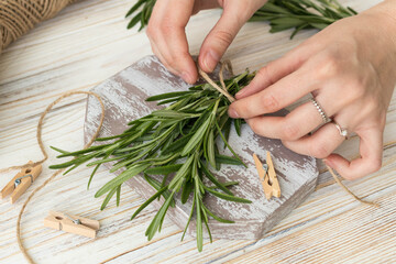 Women's hands prepare branches of rosemary to drying, organic rosemary