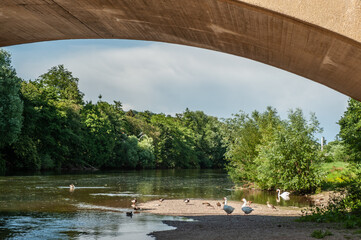 Brückenbogen über Fluss  mit Gänsen und Enten auf Kiesstrand in Neckartenzlingen