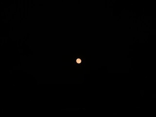 Full red moon in the night sky