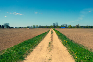 A dirt road with a white stripe goes into perspective to the horizon. On the sides are plowed fields. Latvia