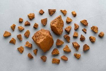 Chaga mushroom slicing on a light gray background. View from above.