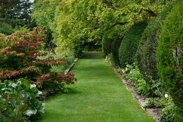 path in the garden