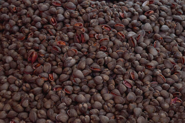 cockles seafood, pile of​ fresh blood cockles for texture background. cockle shells for sale in the market.