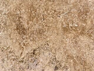 texture of the sand or dry soil surface background 