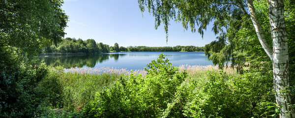 Panorama Jastorfer See Niedersachsen Natur Paradies im Sommer