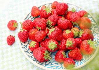 Ripe, juicy and sweet strawberries in a blue plate in the fresh air in the village