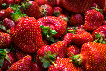 Strawberry