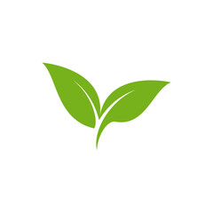 Fototapeta premium Leaf logo vector design template.