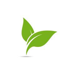 Leaf logo vector design template.