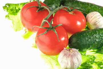 fresh green salad red tomato papper garlic isolated white background