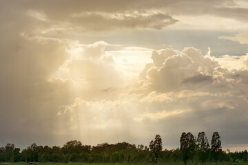 Obraz premium beautiful landscape with sun and forest at sunset or sunrise