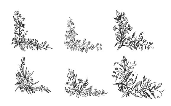 Set of hand drawn floral coners. Decorative frame design. Flowers and plant elements. Vector sketch. Linear elements for design.