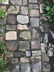 walkway in the garden of stones of different sizes and flowers