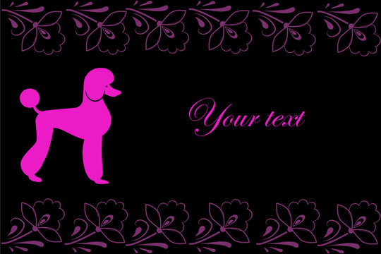 Pink silhouette of a poodle on a black background. Design for business cards and signs. Vector illustration