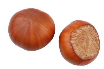 Hazelnuts isolated on white background, top view