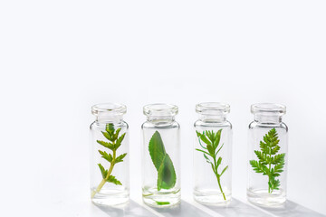 Medical herbs and plants in laboratory glass bottles on a white background. Concept of natural bio cosmetics and natural skin care