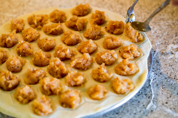 The process of making homemade dumplings. Chicken meat with spices on the dough